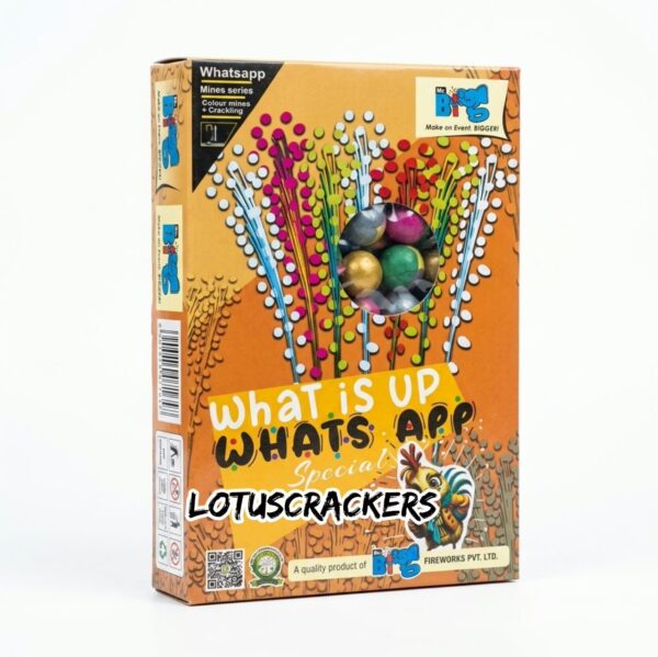 WhatsApp – Peacock Dance (3 Pcs)